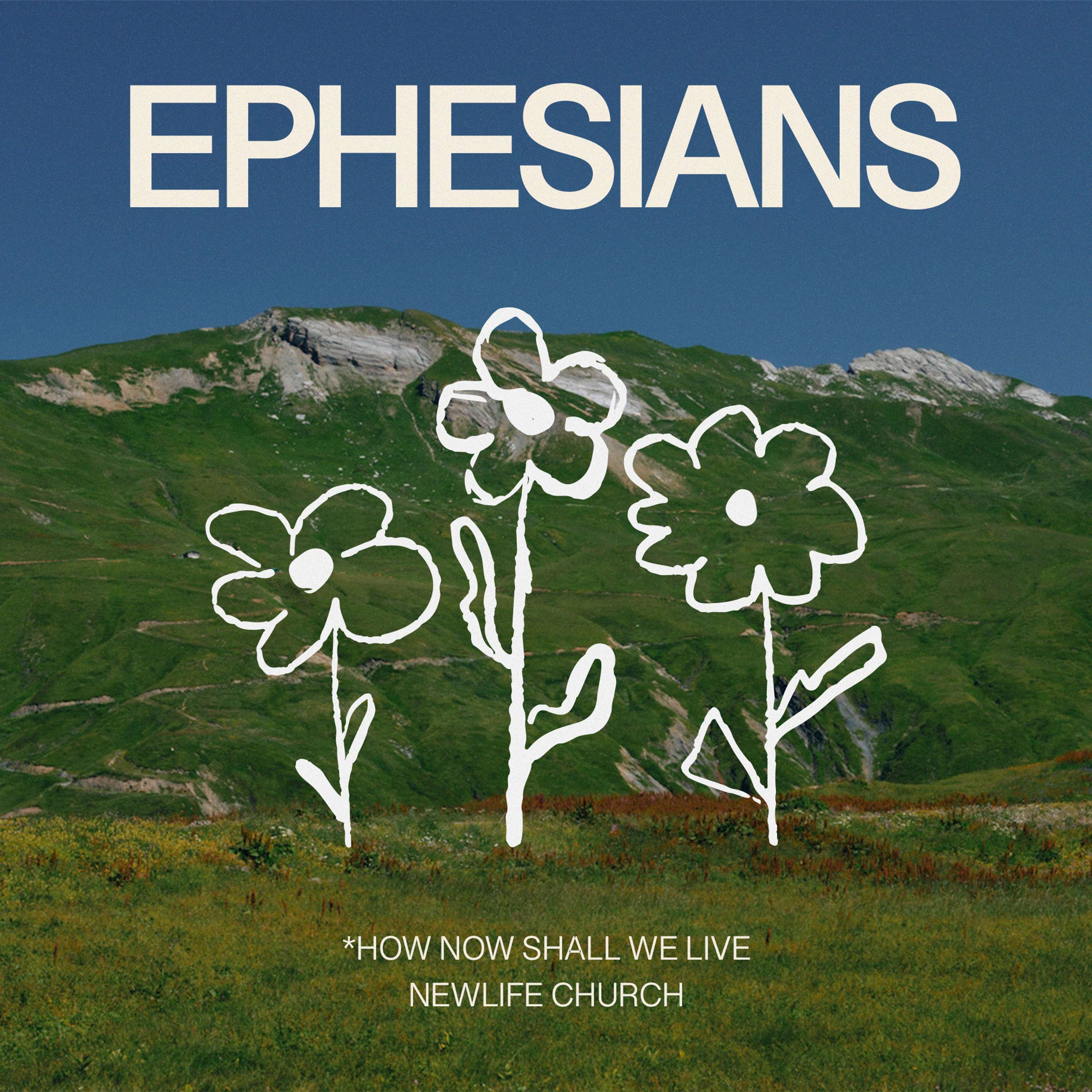 Newlife Church: Moreton