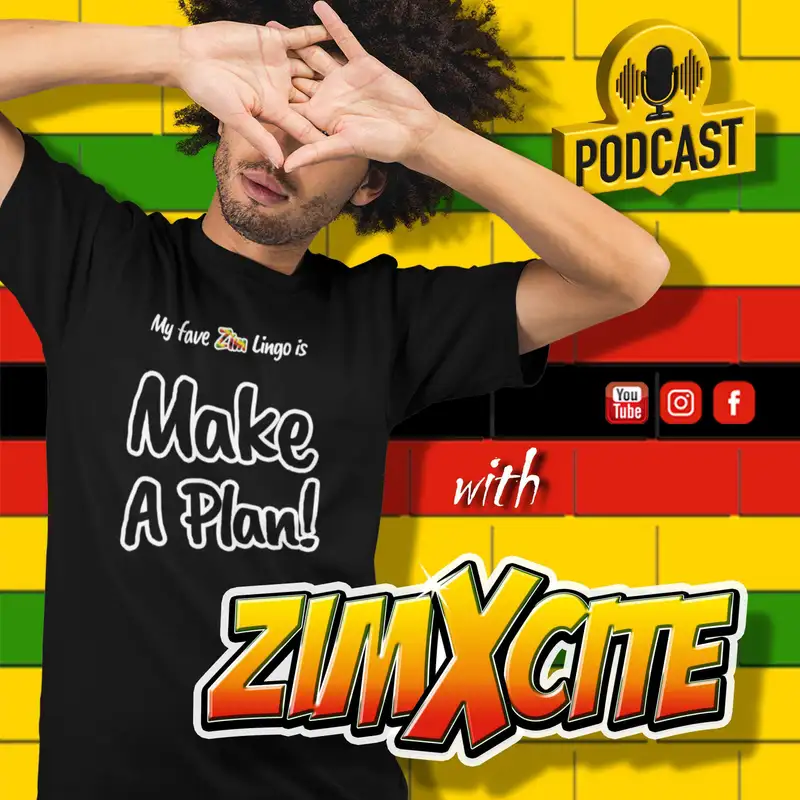 001: Why I Started ZimXcite