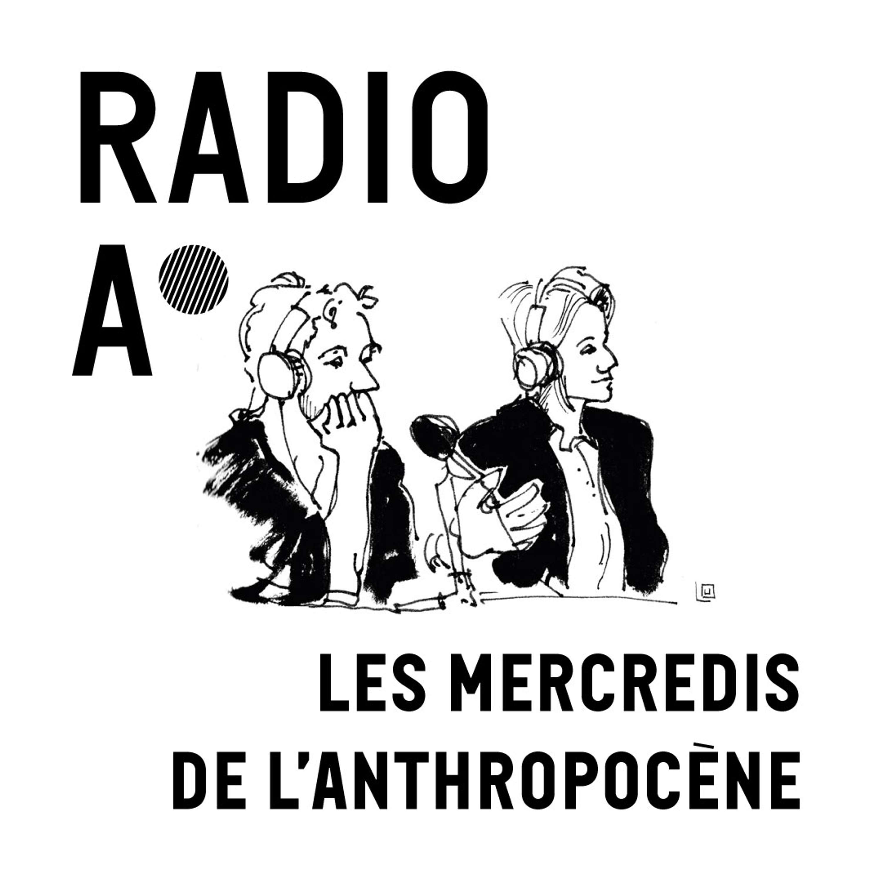 Intelligences artificielles, et vi(ll)es démocratiques, un amour impossible ?