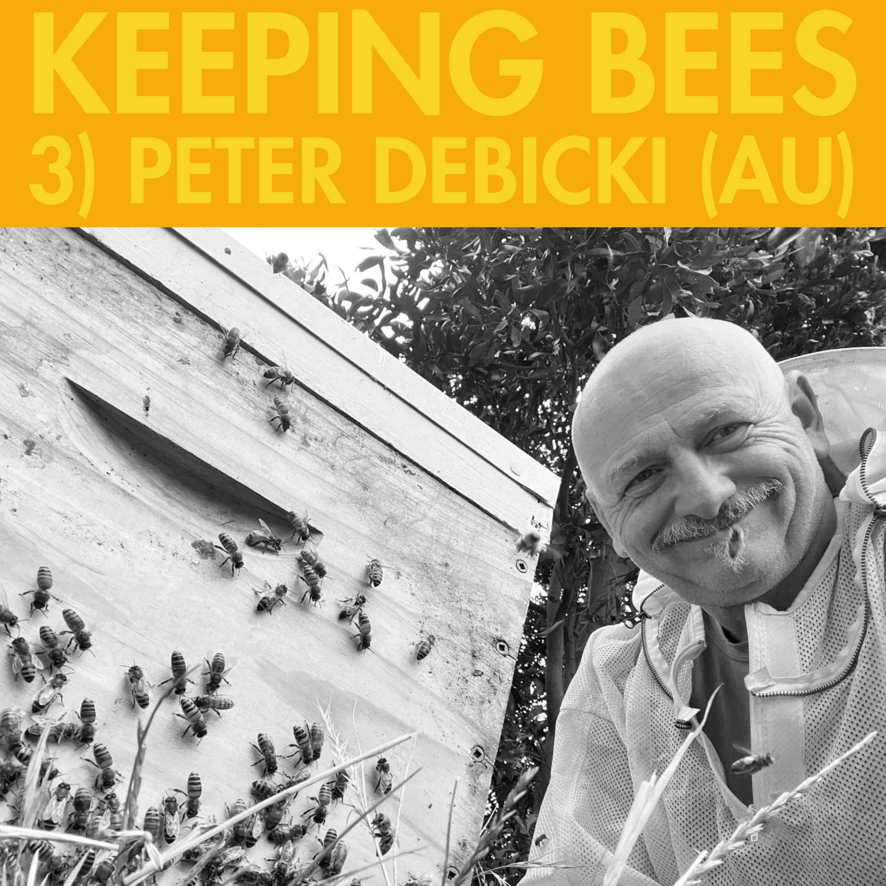 Keeping Bees