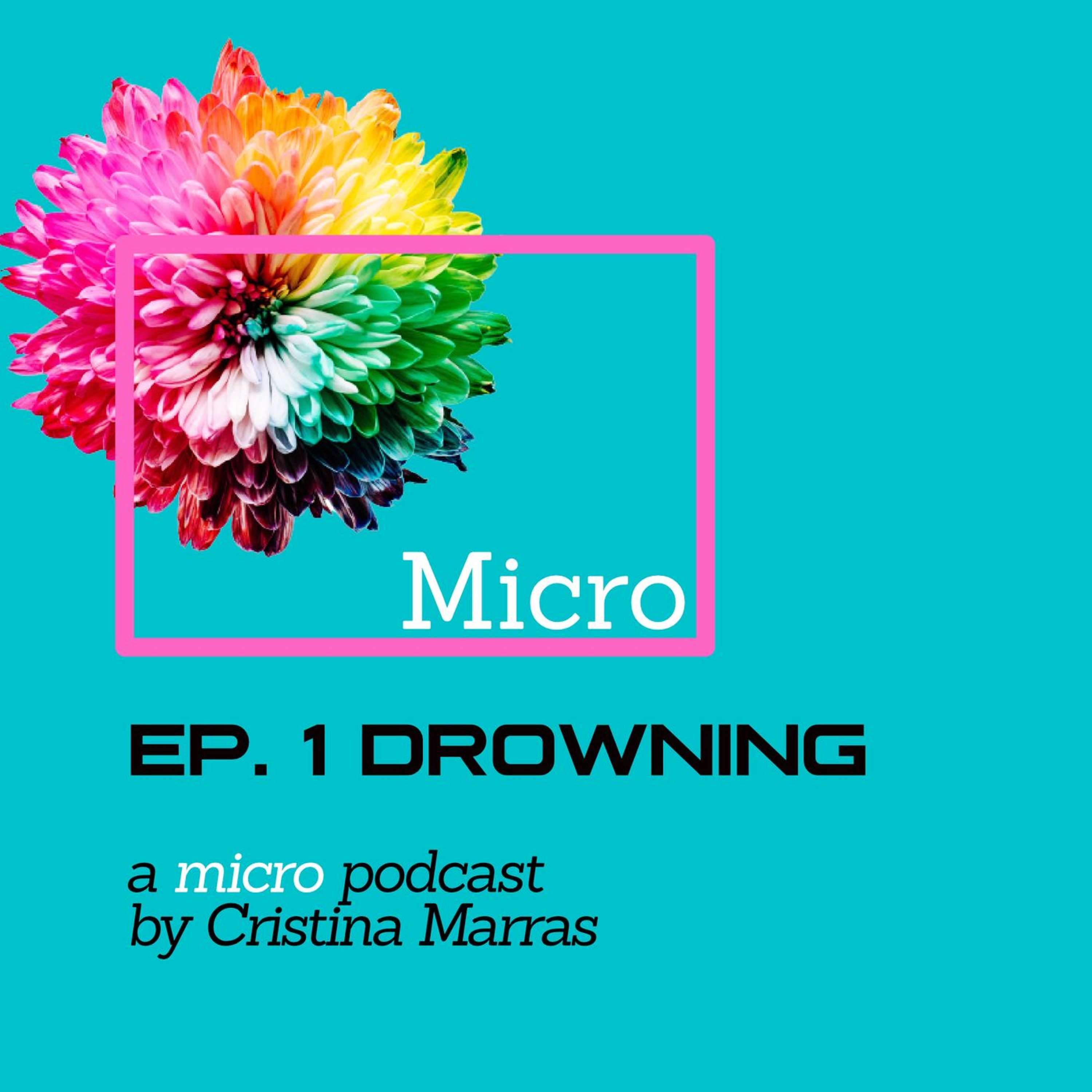 Micro (one-minute stories)
