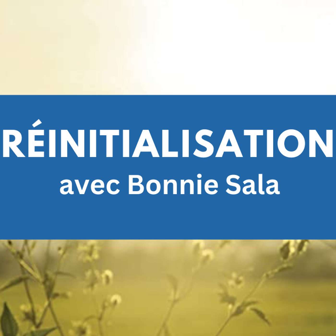 Réinitialisation avec Bonnie Sala