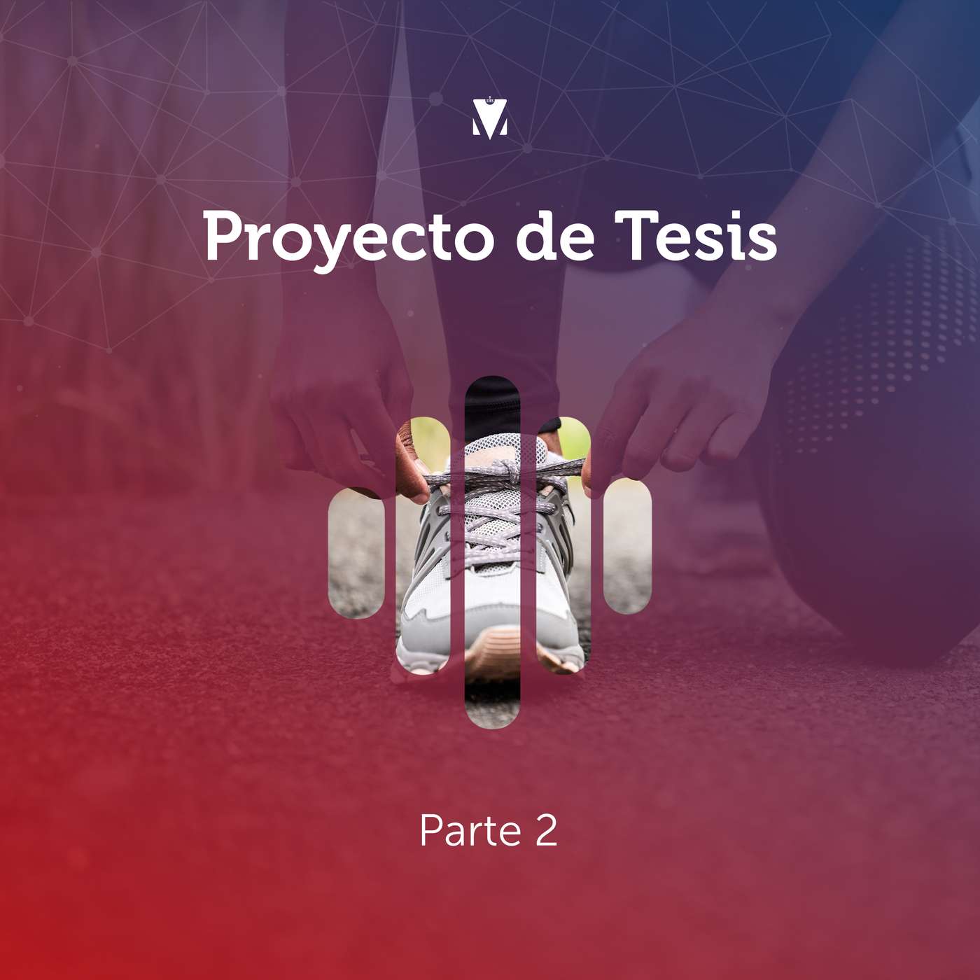 2 - PROYECTO DE TESIS: Parte 2