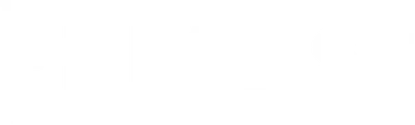 The Premise