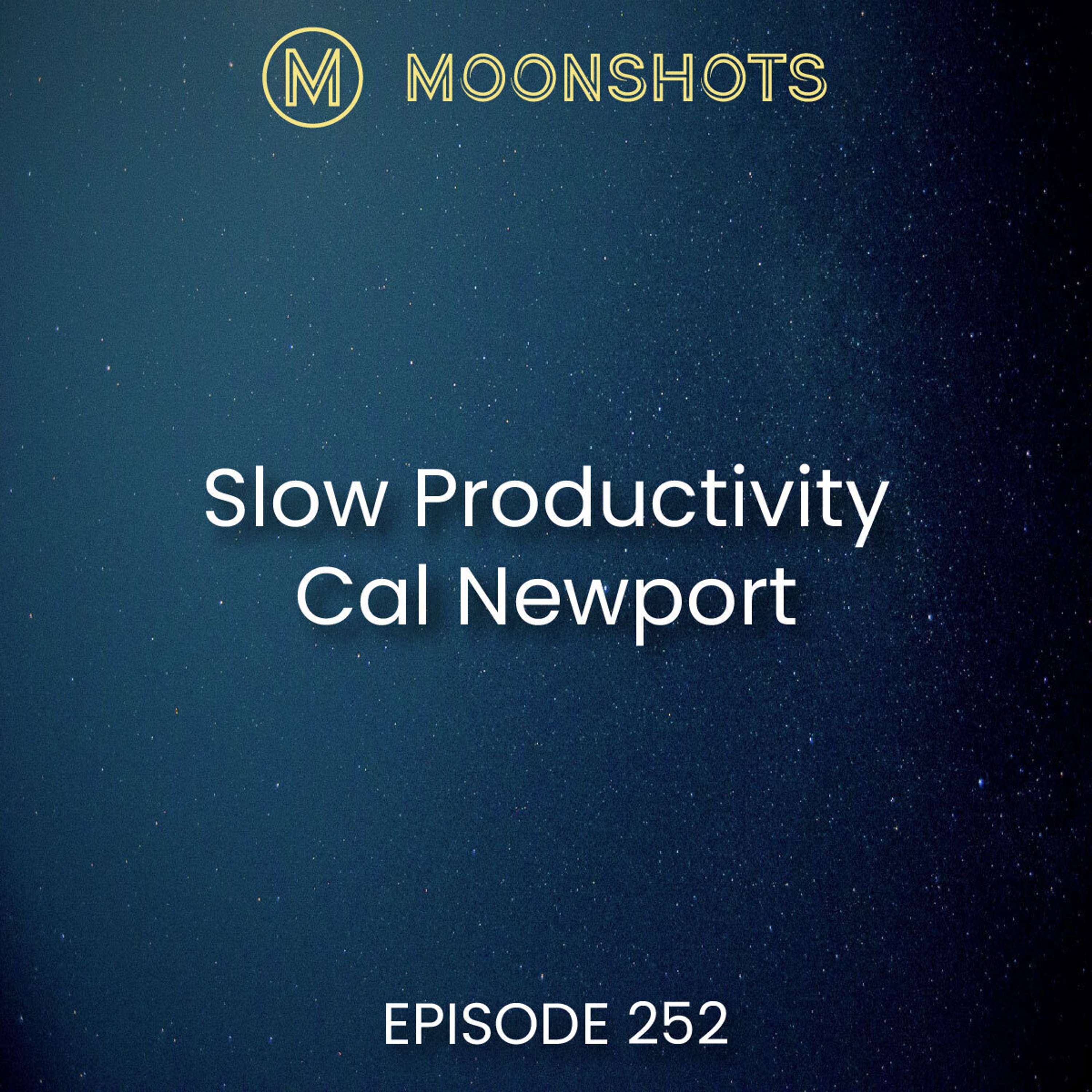 Cal Newport "Slow Productivity" The Lost Art of Accomplishment Without Burnout