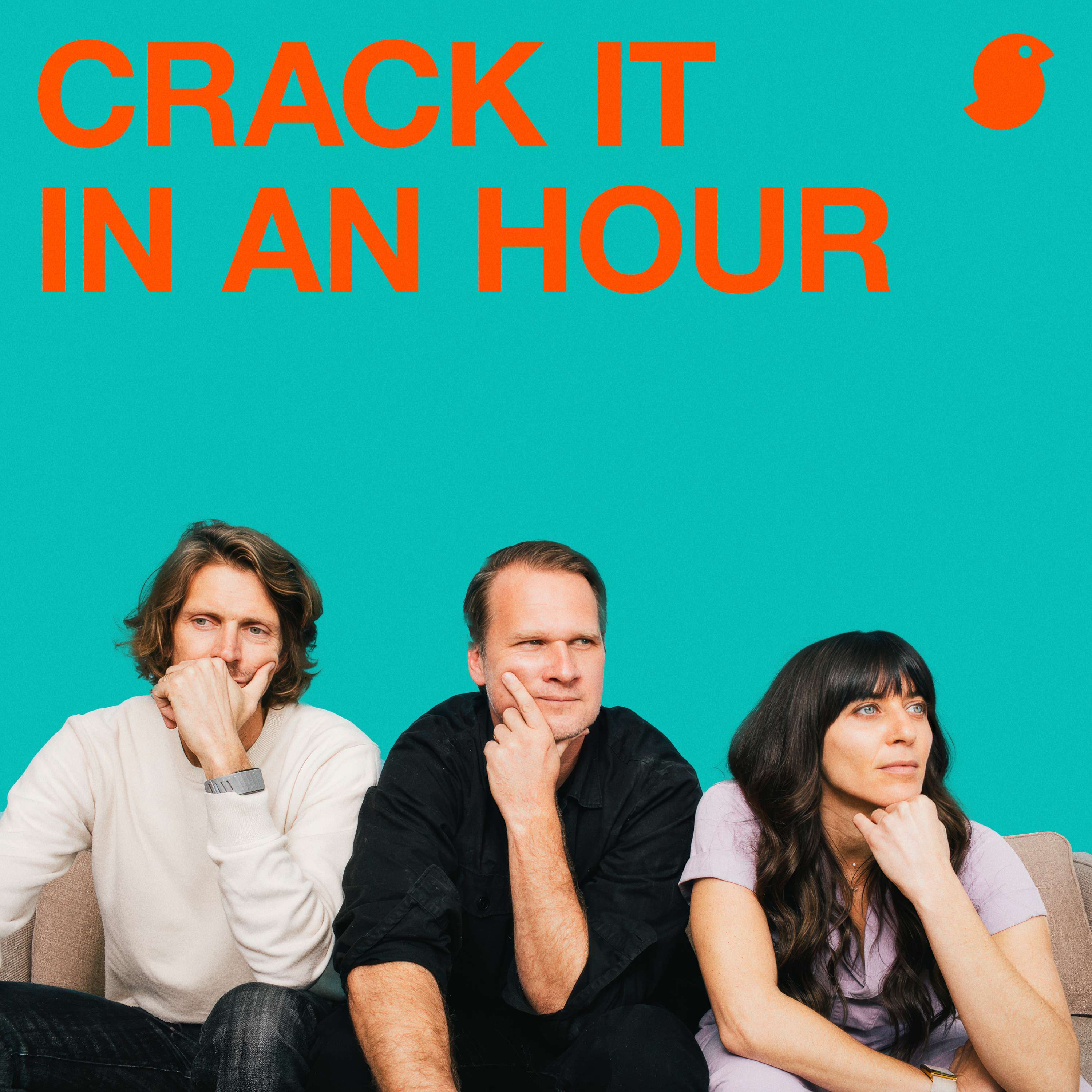 Crack It In An Hour