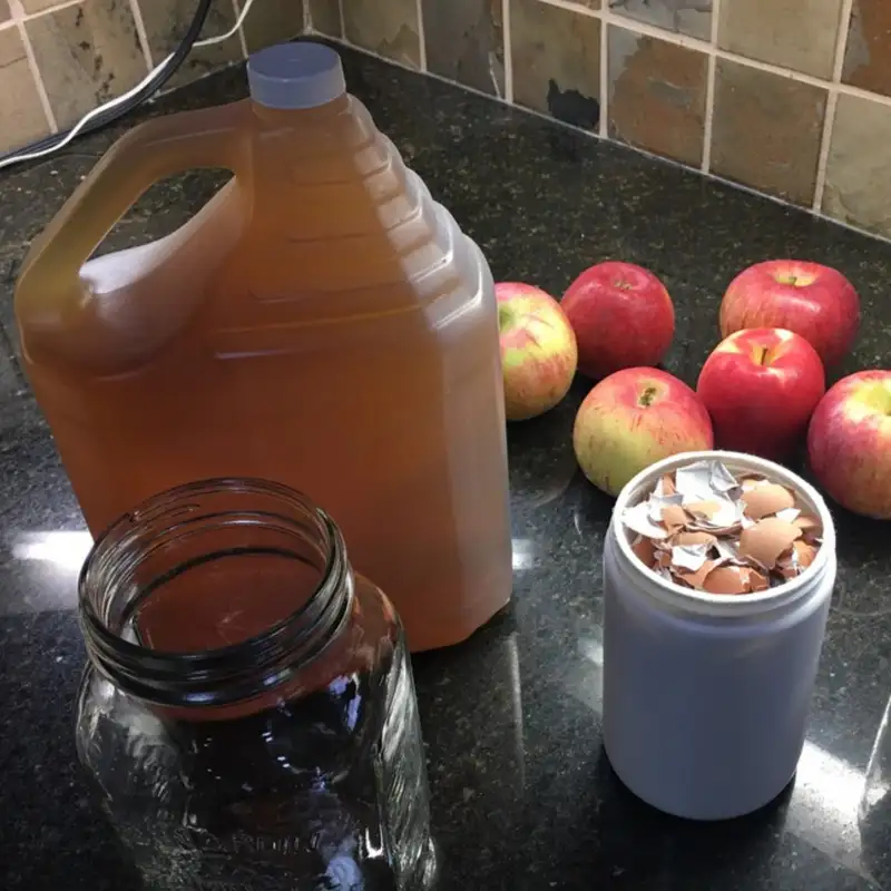 Regenerative Fruit Tree Sprays with Nigel Palmer