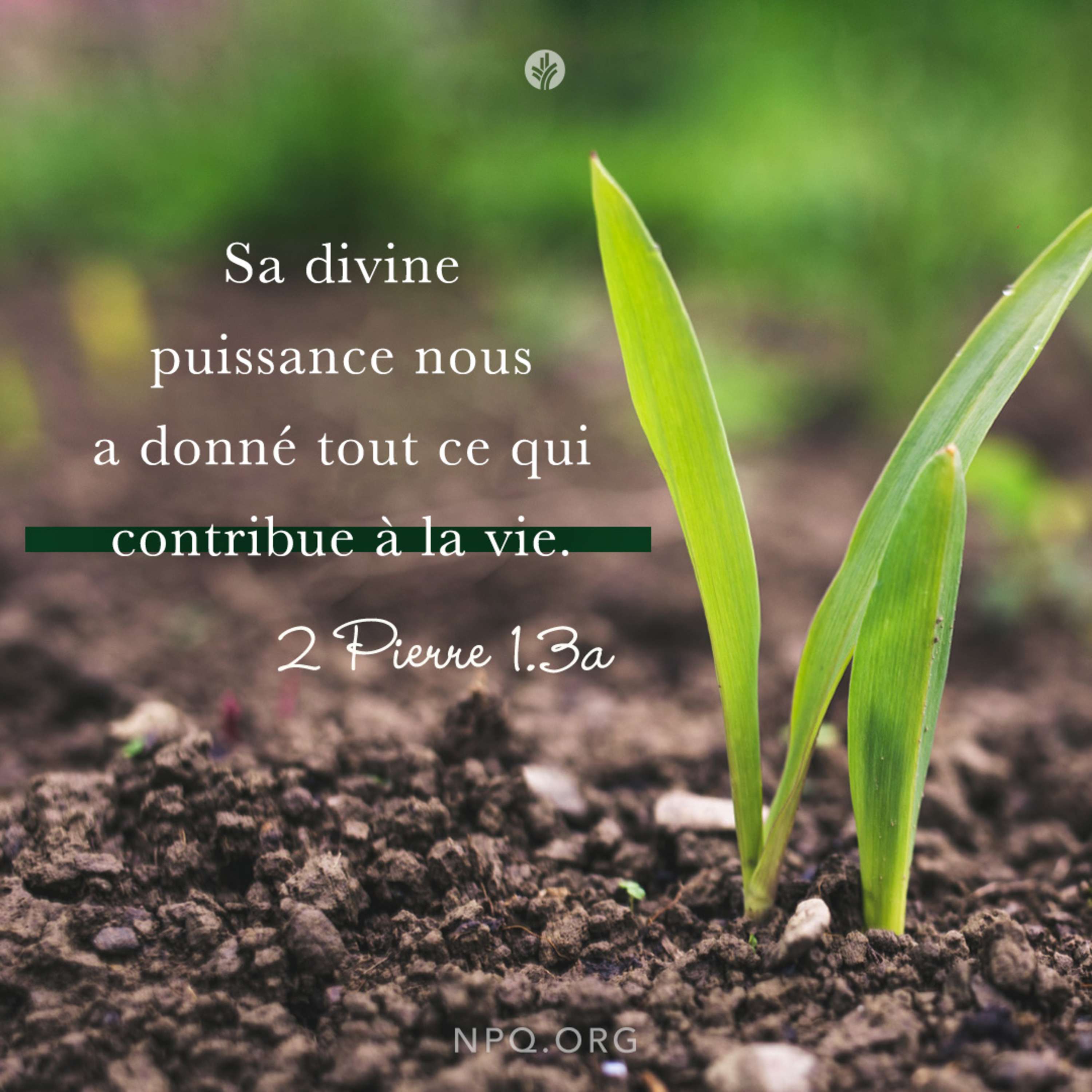 Notre Pain Quotidien podcast