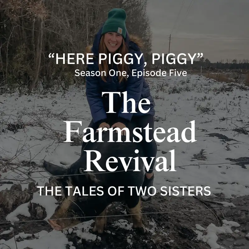 Episode #5 Here Piggy, Piggy