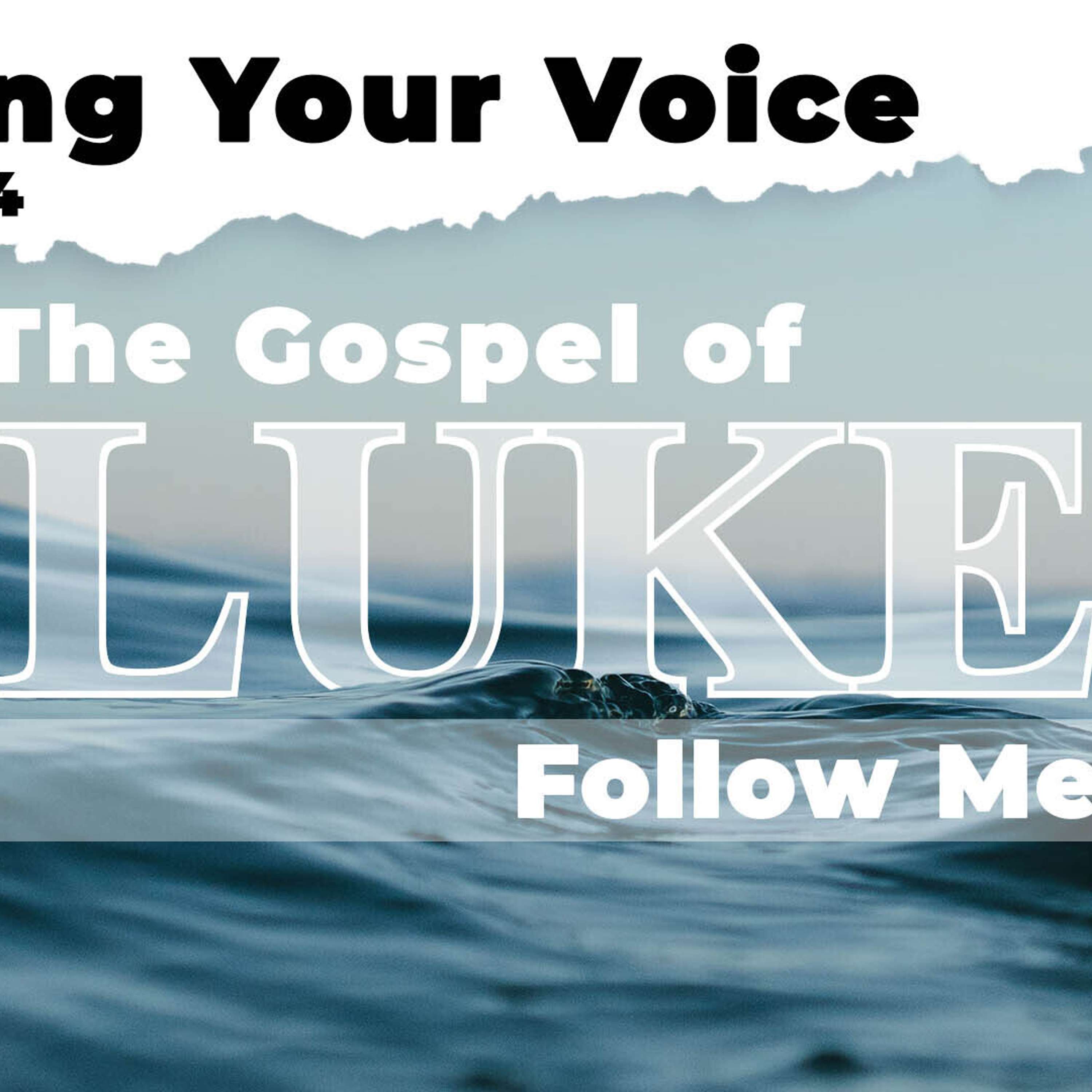 Finding Your Voice