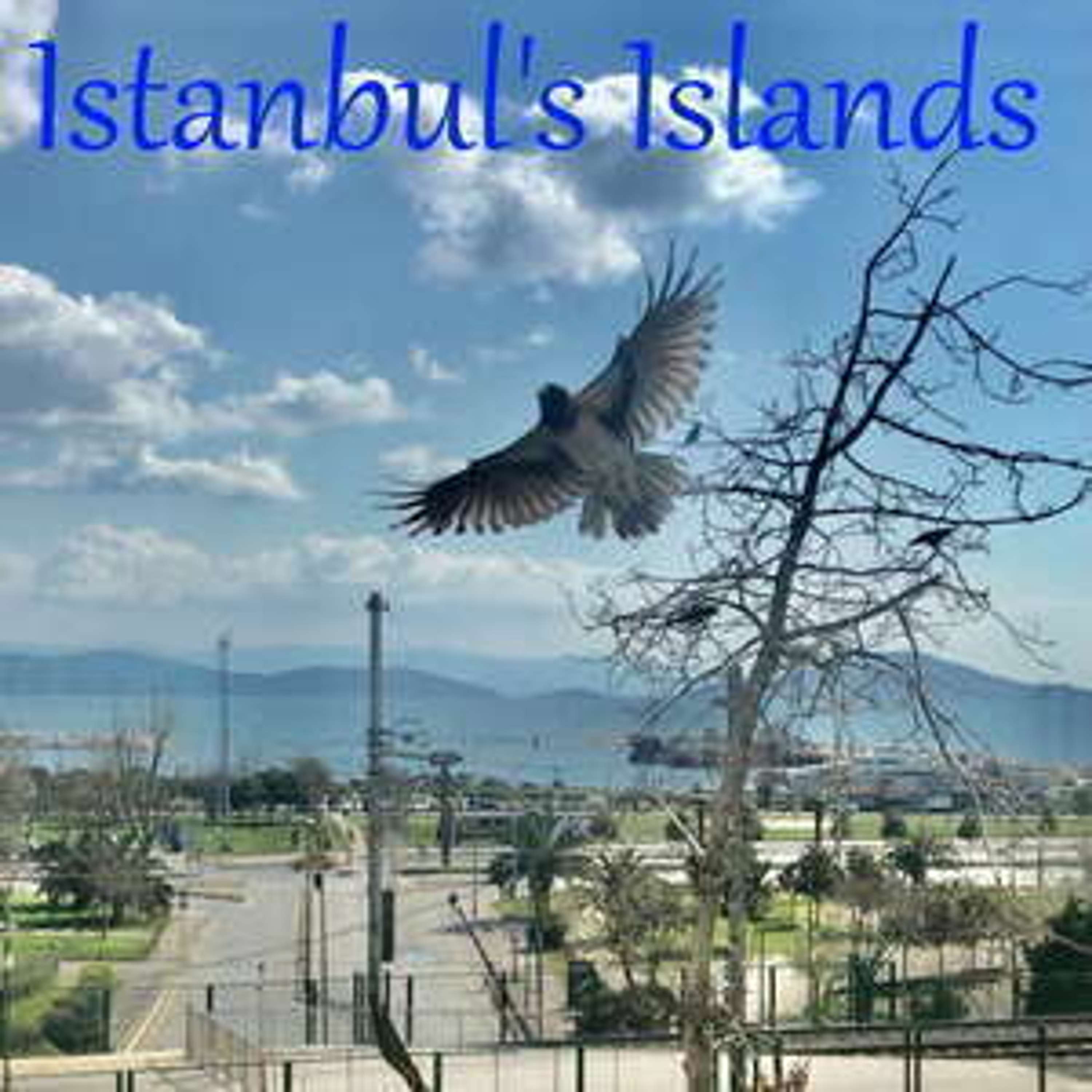 Turkish Cultural Program