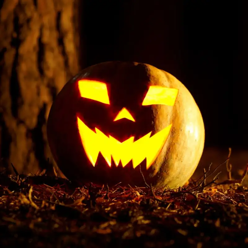 Halloween on the Cannon