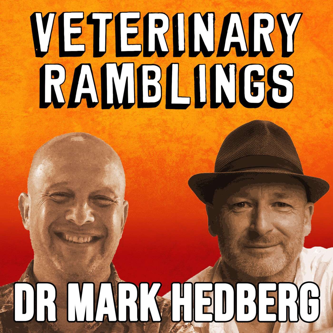 Ep 72: The Life Of An Expat Vet With Dr Mark Hedberg