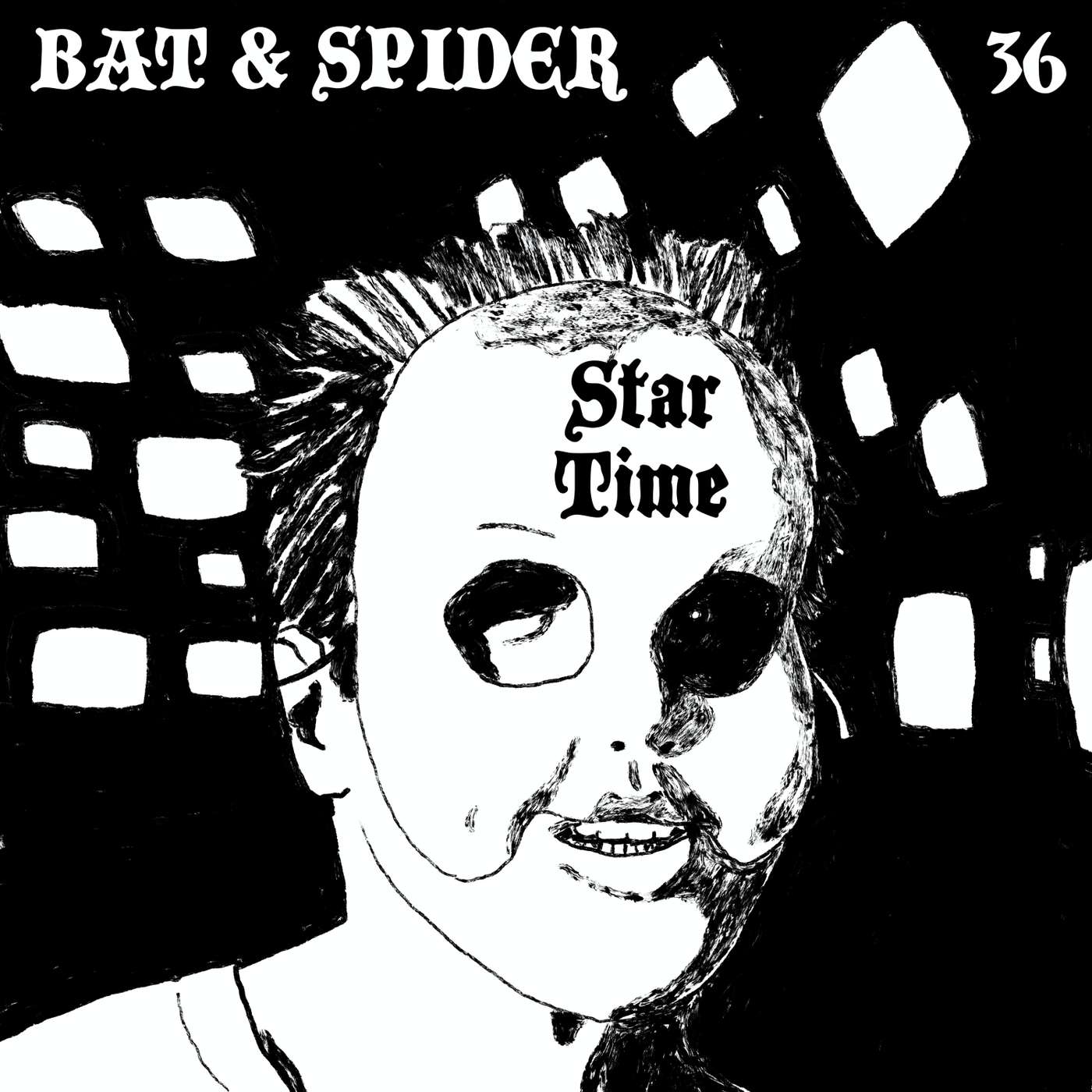 BAT AND SPIDER