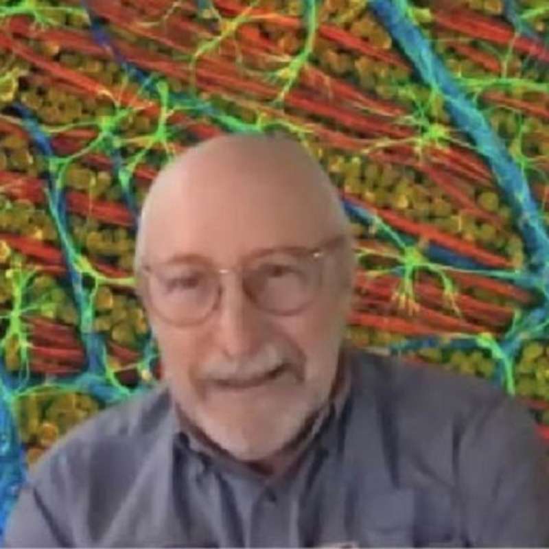 Prof. Mark Ellisman