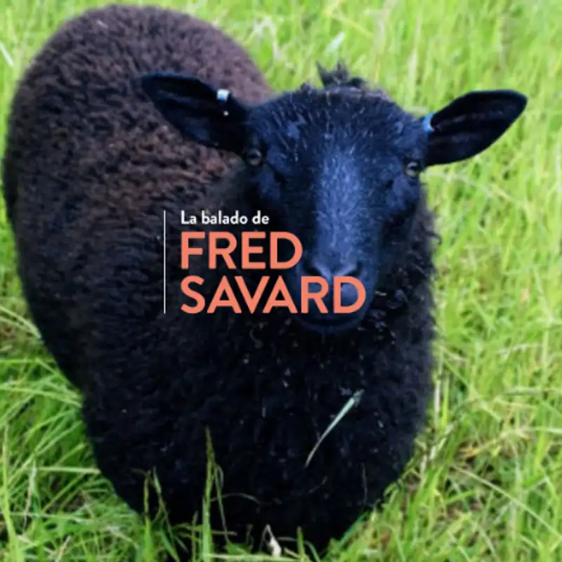 S07-EP35- Les 30 ans du Mouton Noir ou comment mordre mieux que le loup