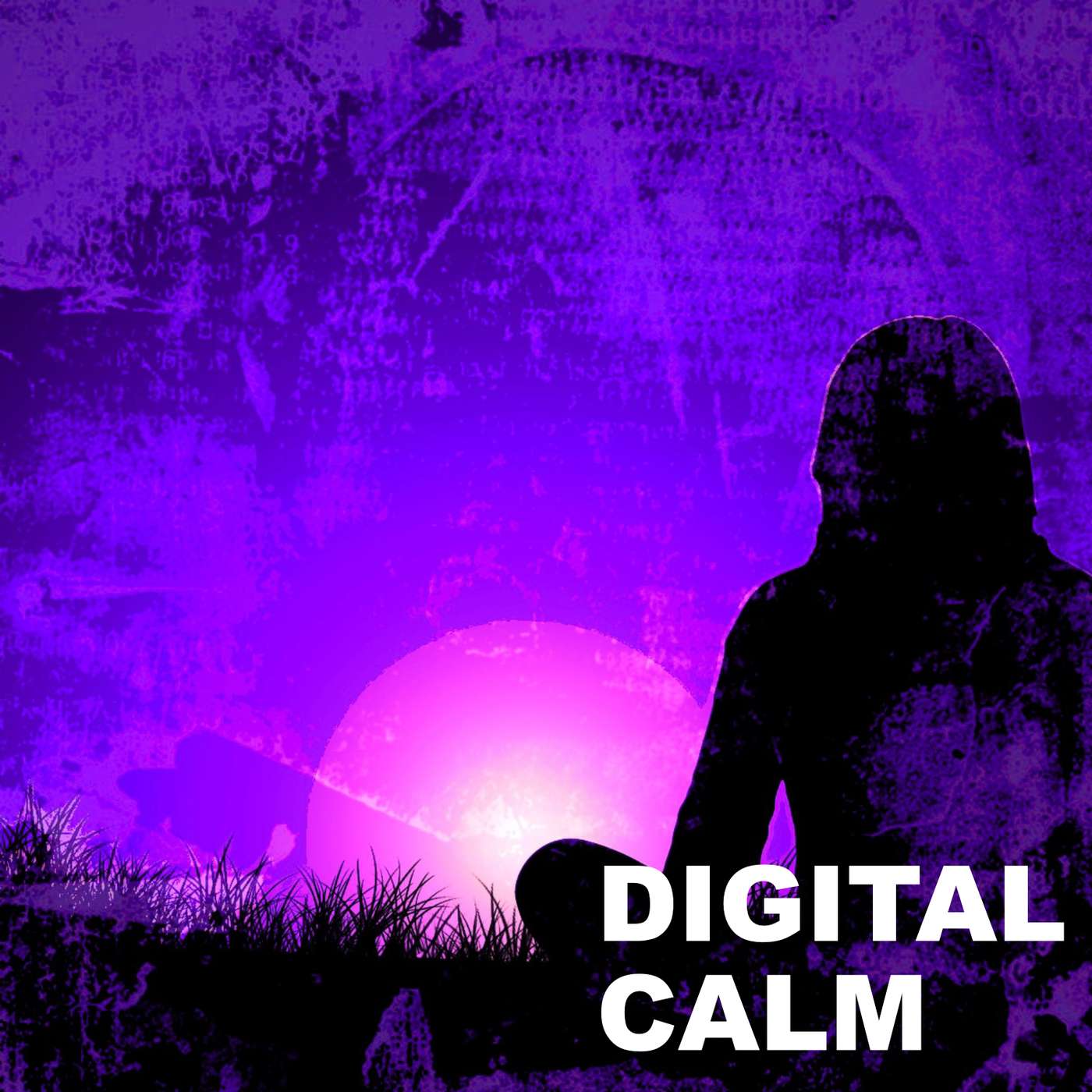 The Digital Calm