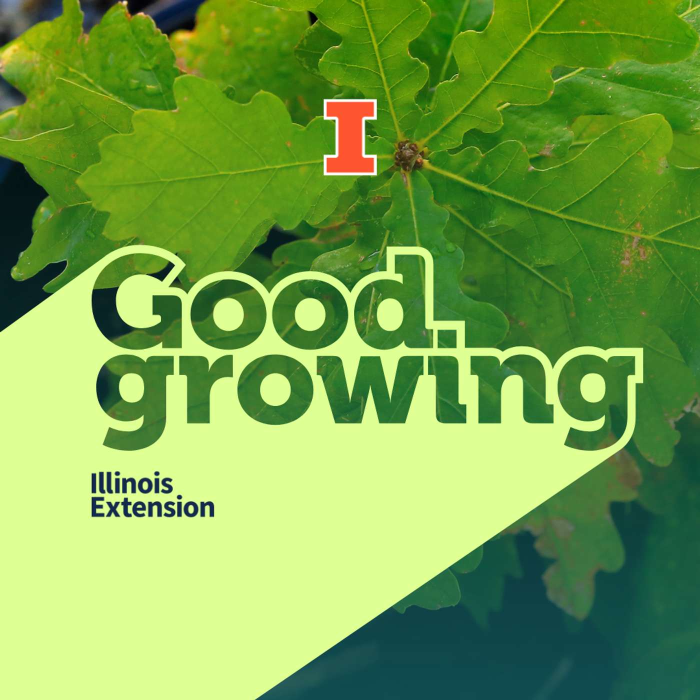 Good Growing