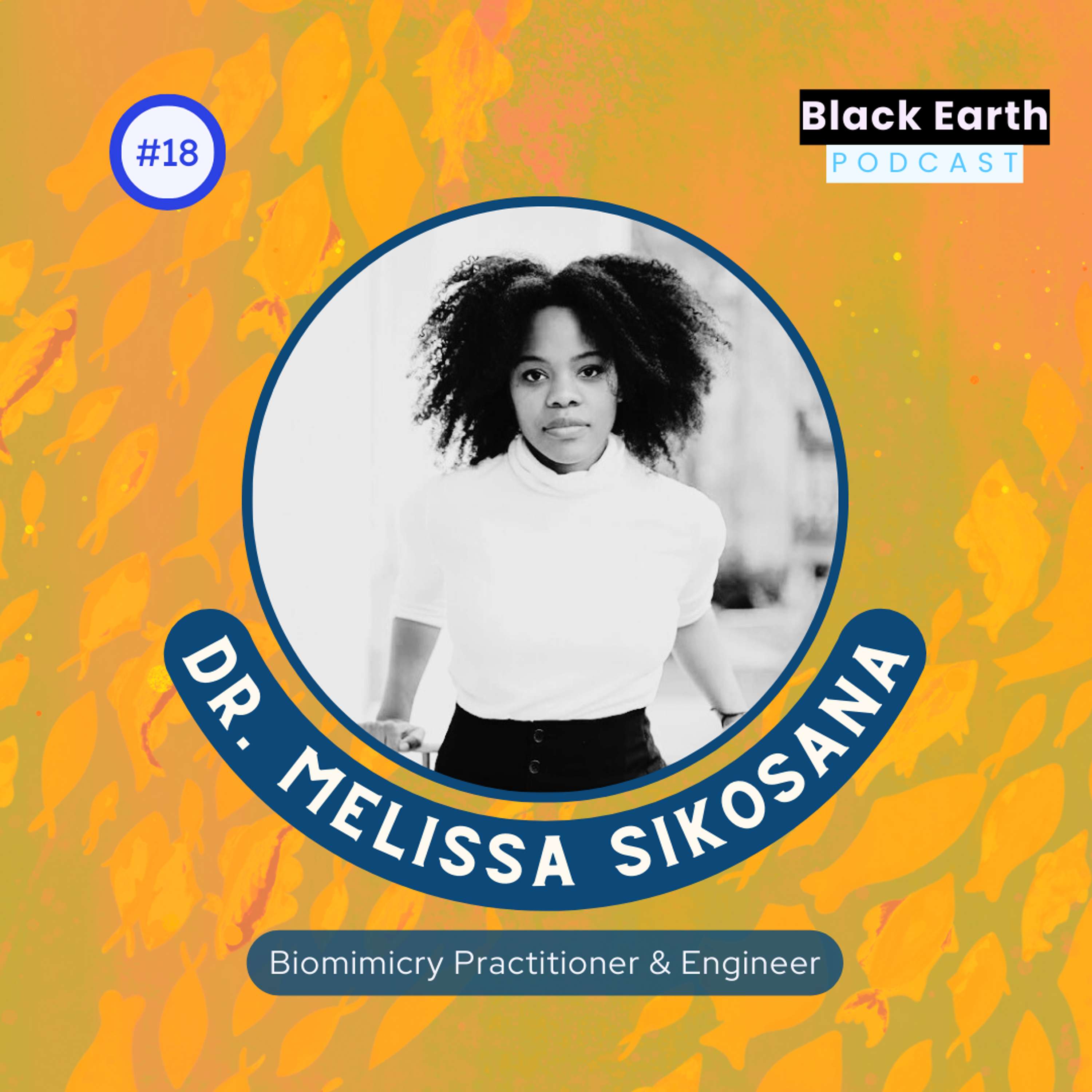 Black Earth Podcast