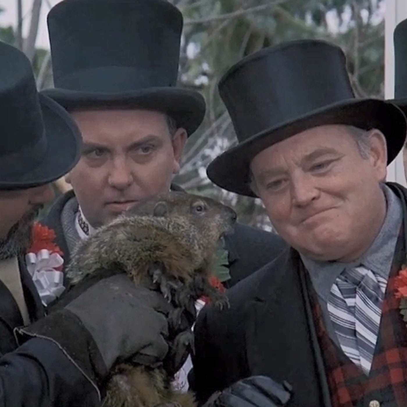 they're not actually talking to a groundhog, sean