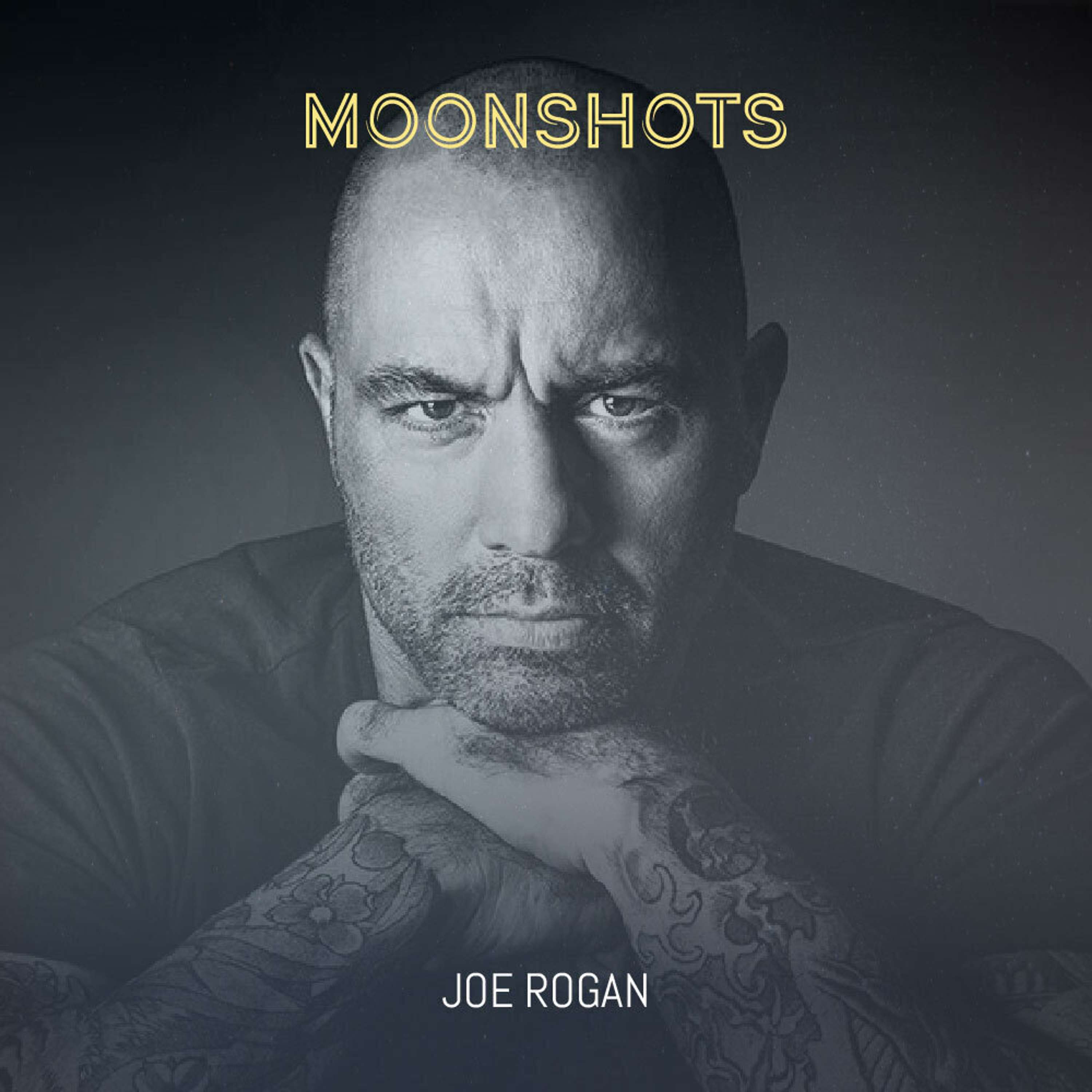 Joe Rogan, Comedian/Podcast host/Mixed martial artist