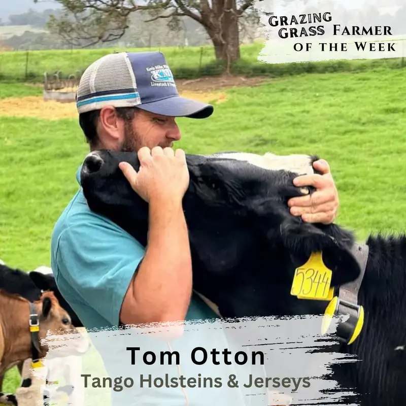 177. How Tango Holsteins Embraces Regenerative Dairy Without the Buzzwords with Tom Otton