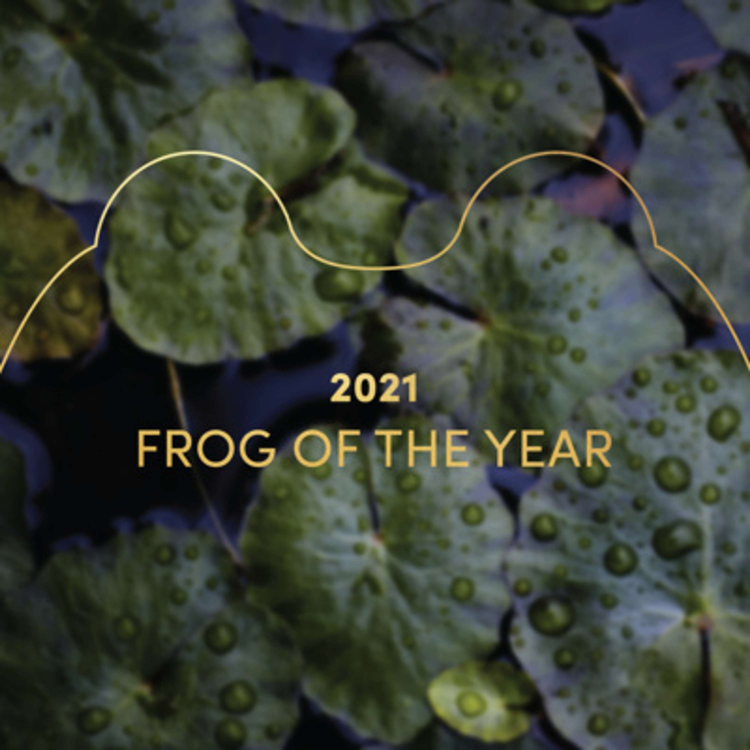 Frog of the Year | 2021