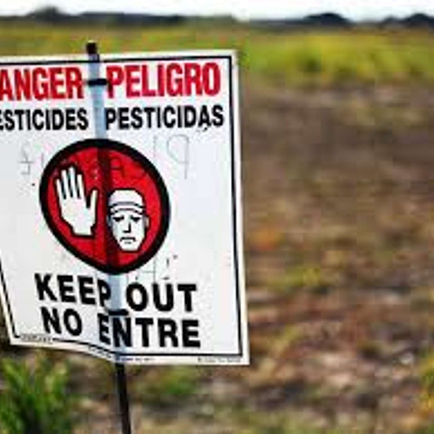 Protecting Our Environment at the State Level