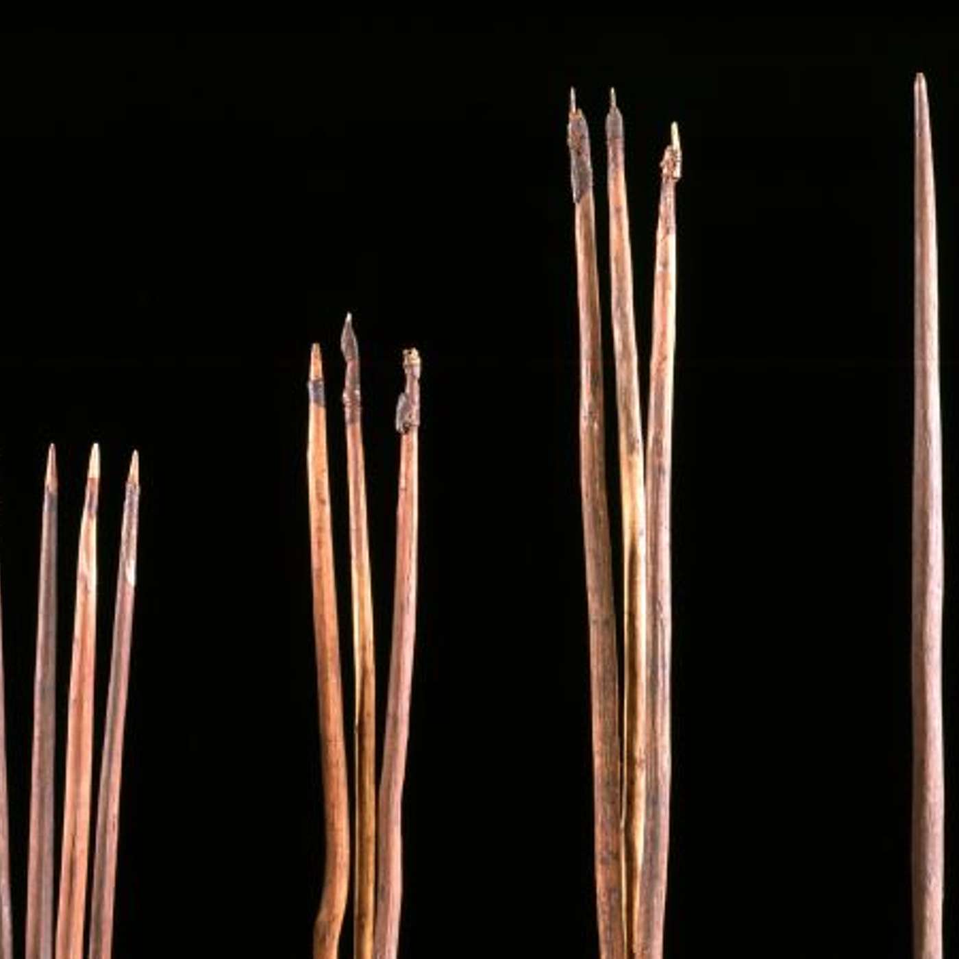 Australia Daily News