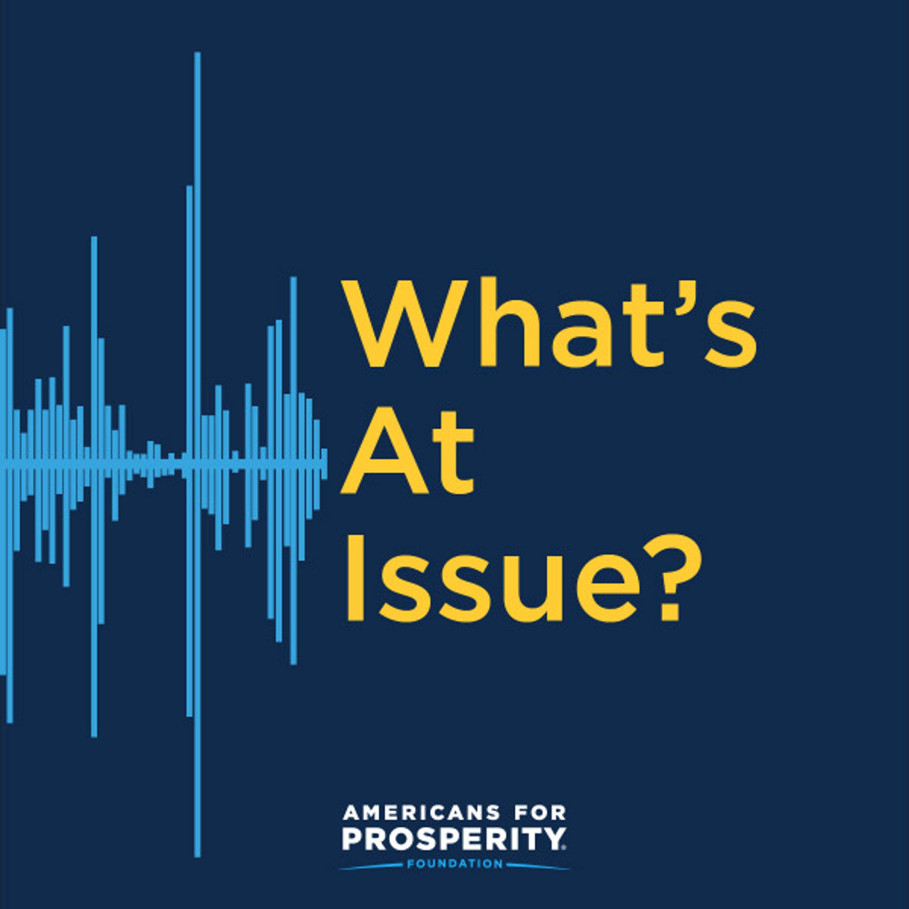 What's At Issue?
