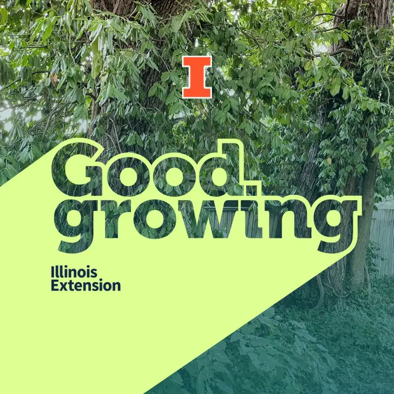 Ep. 118 - Good plant, bad plant part 1 | #GoodGrowing