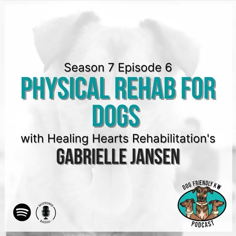 Explaining PHYSICAL REHAB for dogs with Gabrielle Jansen 