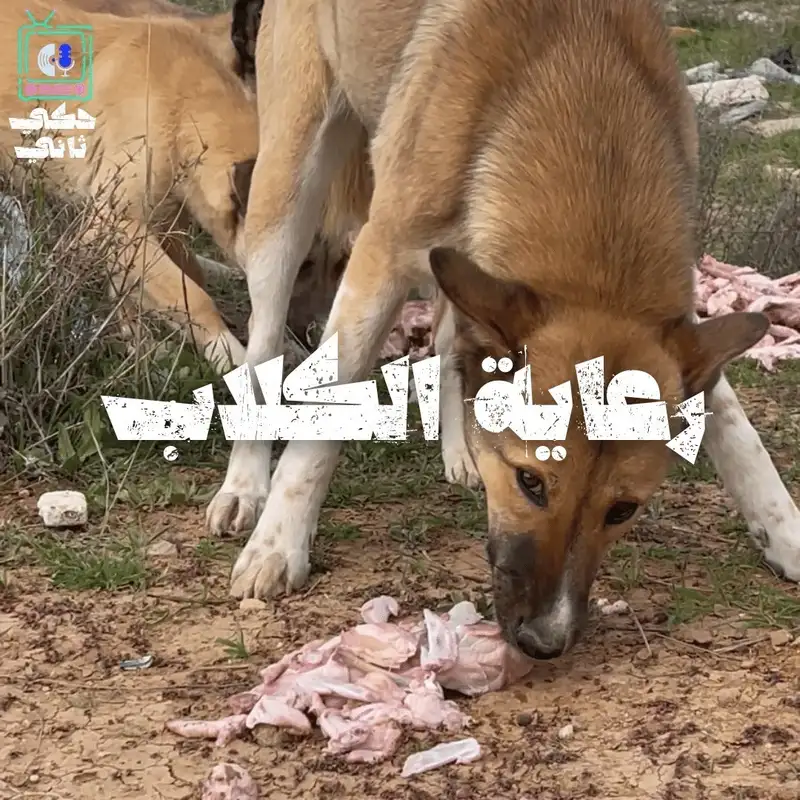 رعاية الكلاب