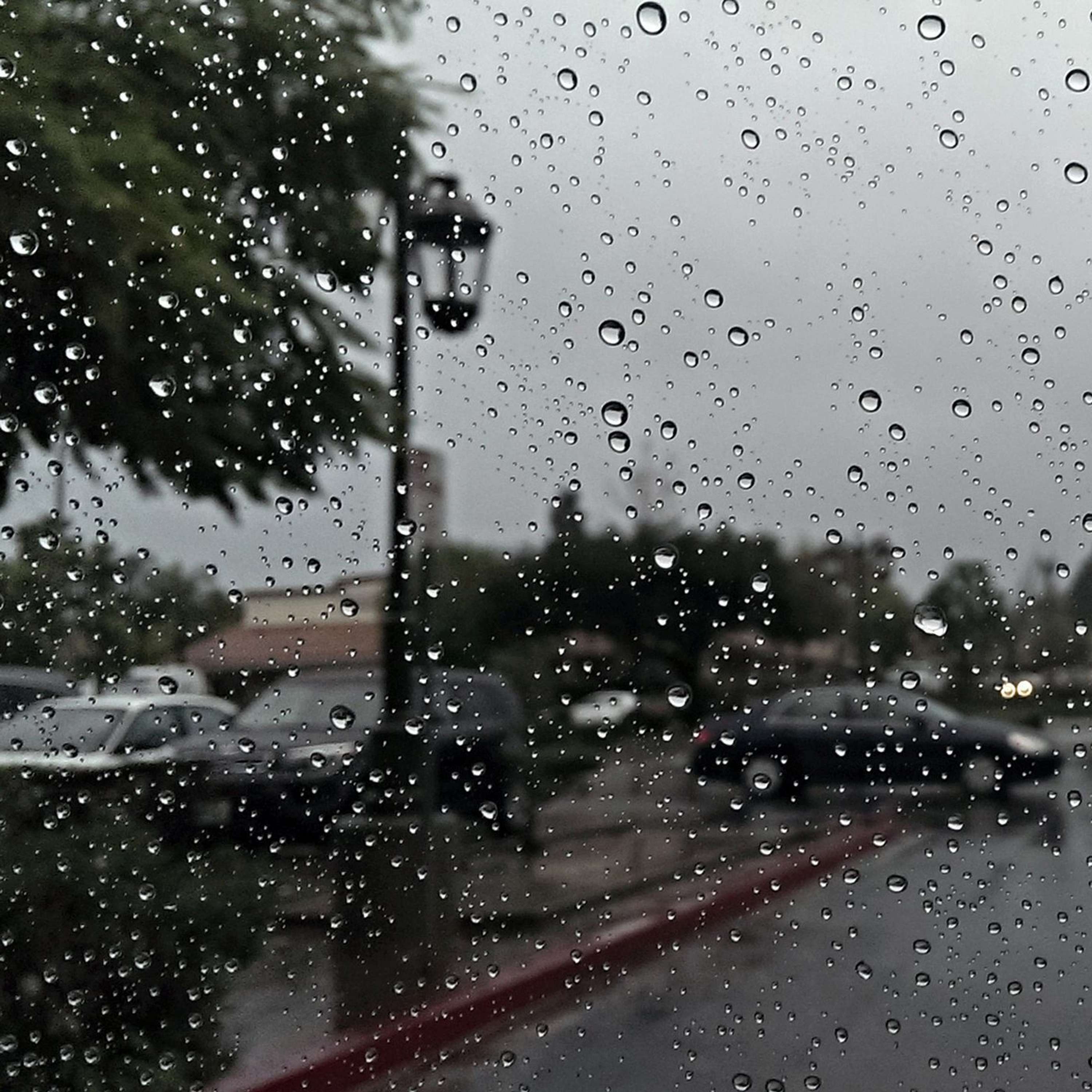 Rainy Days...
