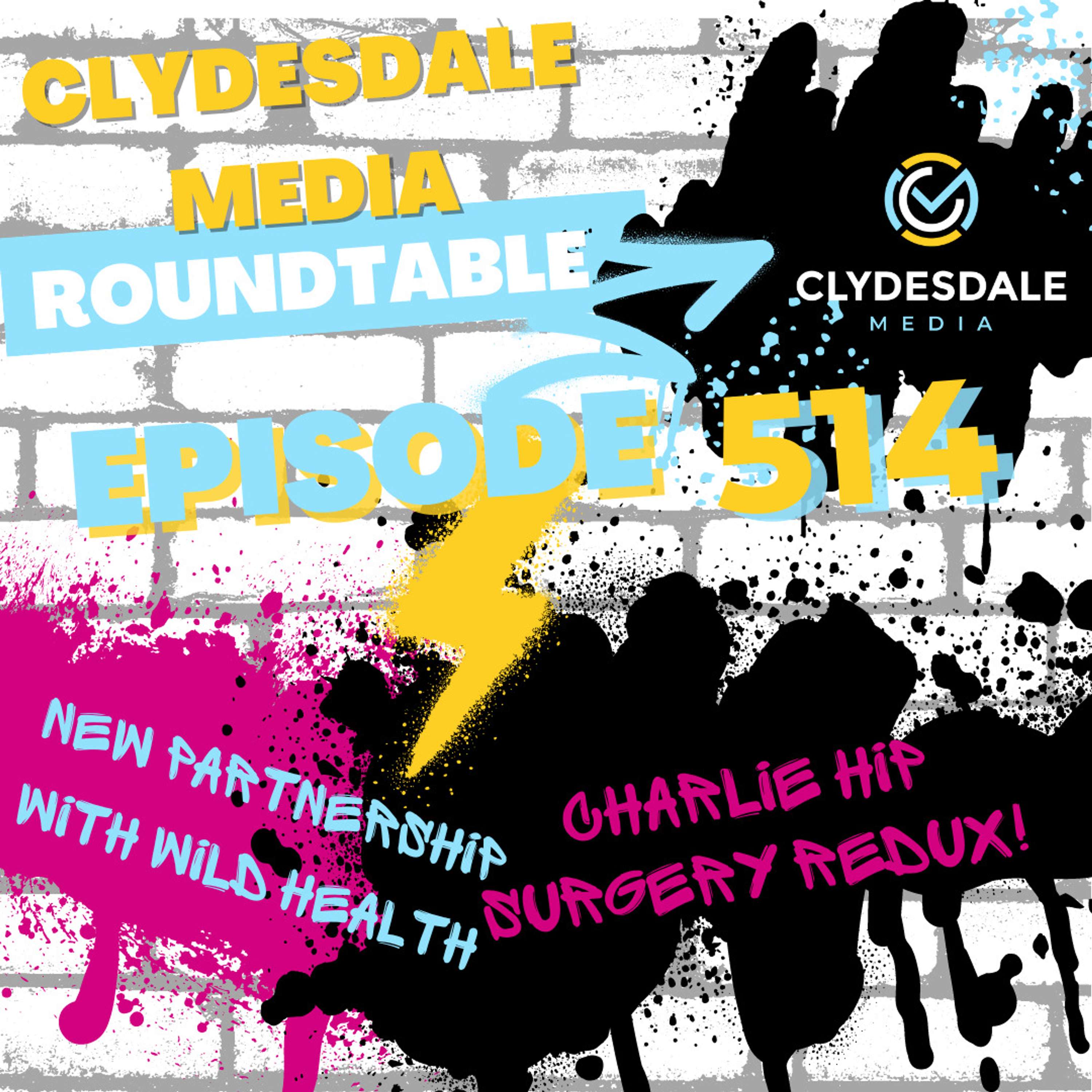 Clydesdale Media Roundtable - Charlie Hip Surgery Redux