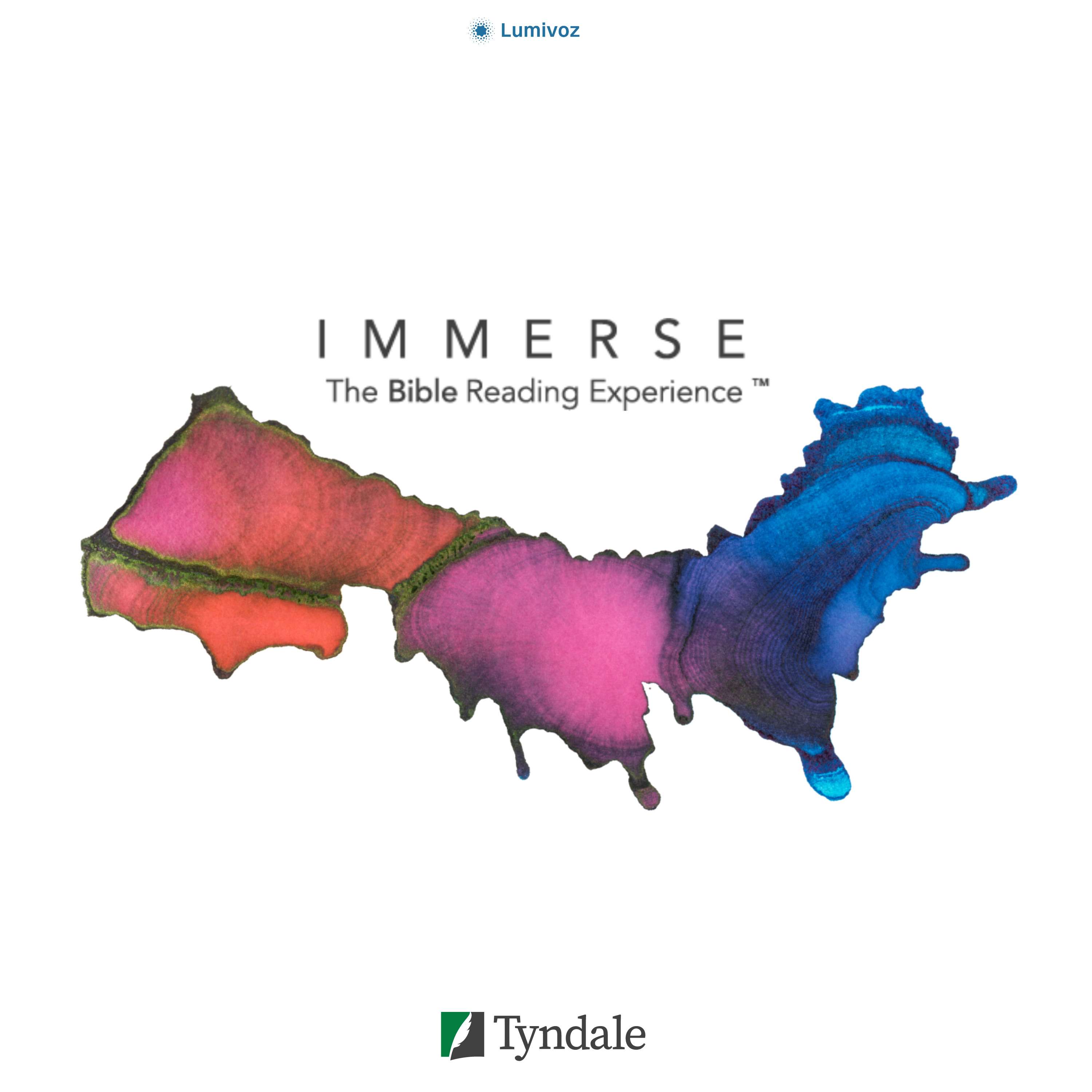 Immerse: Bible Reading Experience - NLT Daily Bible In A Year