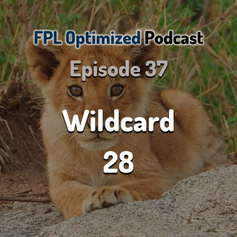 Episode 37. Wildcard 28