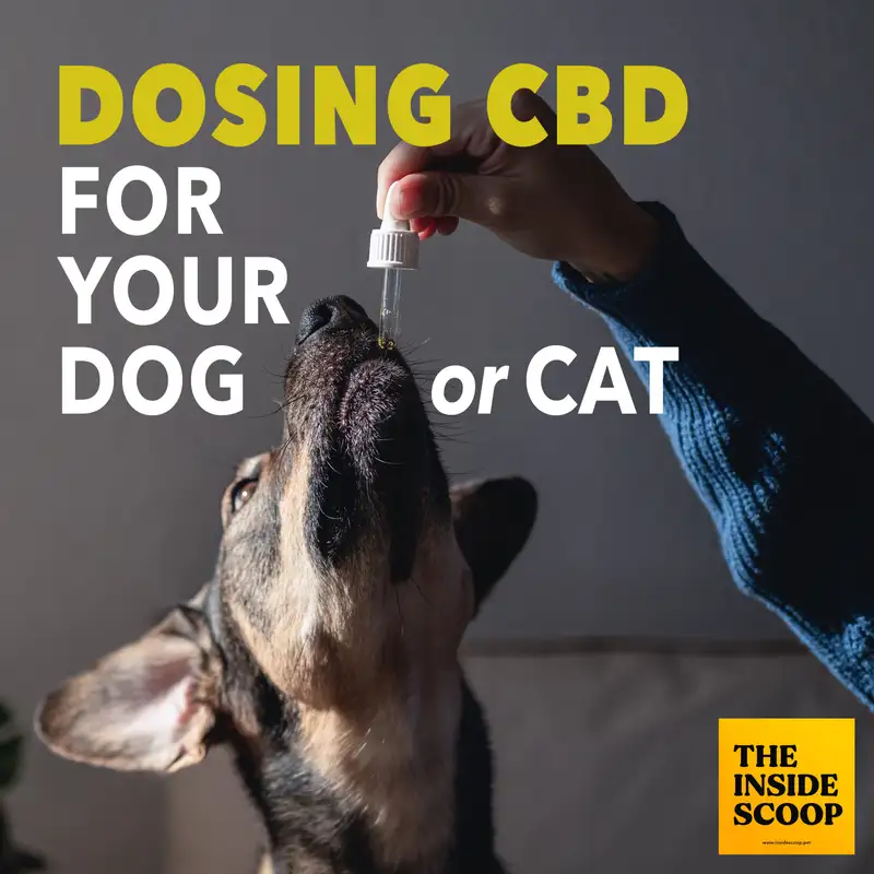 Dosing CBD for Your Dogs & Cats