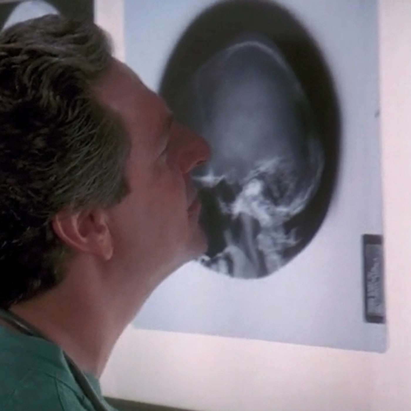 the groundhog day project