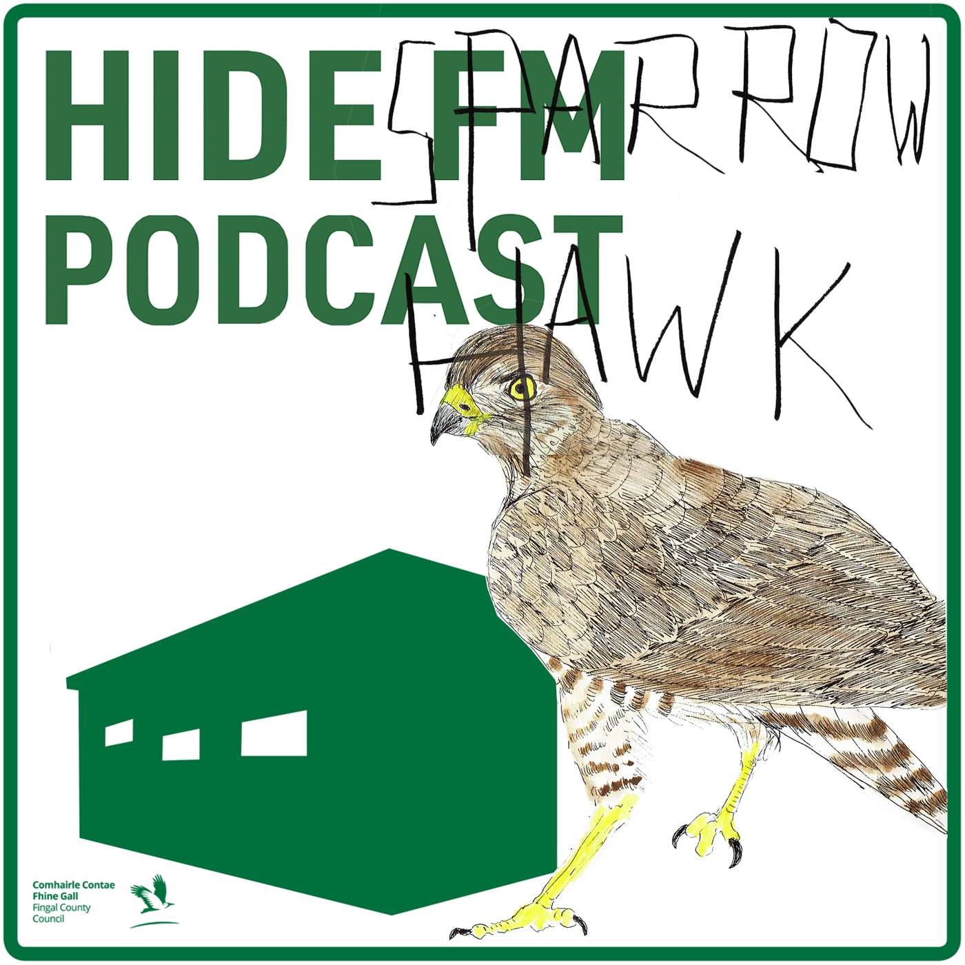 SPARROWHAWK - ACCIPITER NISUS SPARROWHAWK - ACCIPITER NISUS