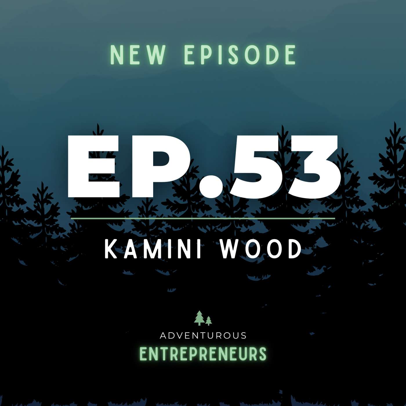 Kamini Wood - Dealing with Toxic Work Environments And How To Create Helpful Work Environments, Unlocking Human Potential, And The Importance Of Naming Your Feelings, Needs And Values In Order To Set Realistic Goals