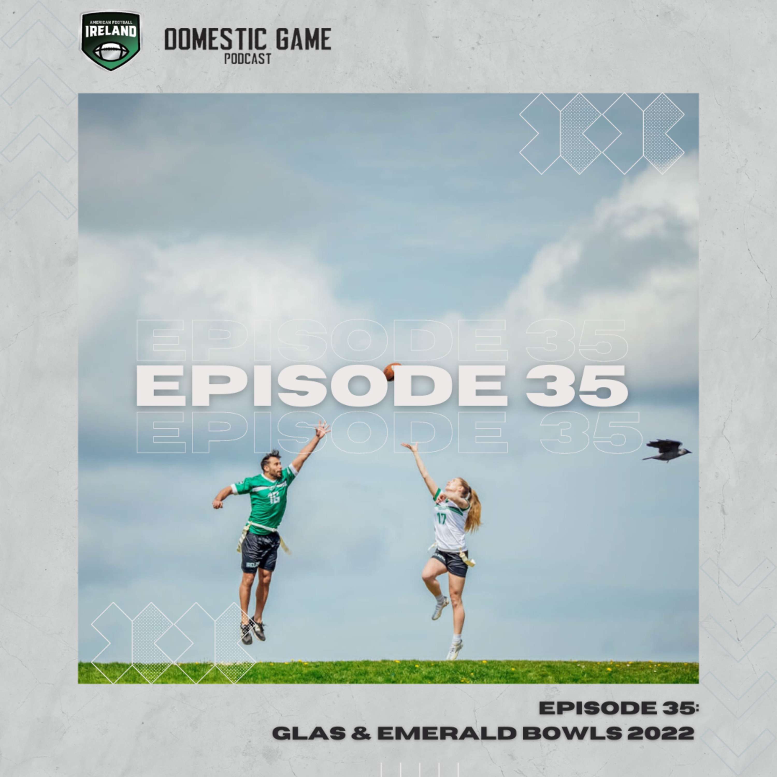 The Domestic Game