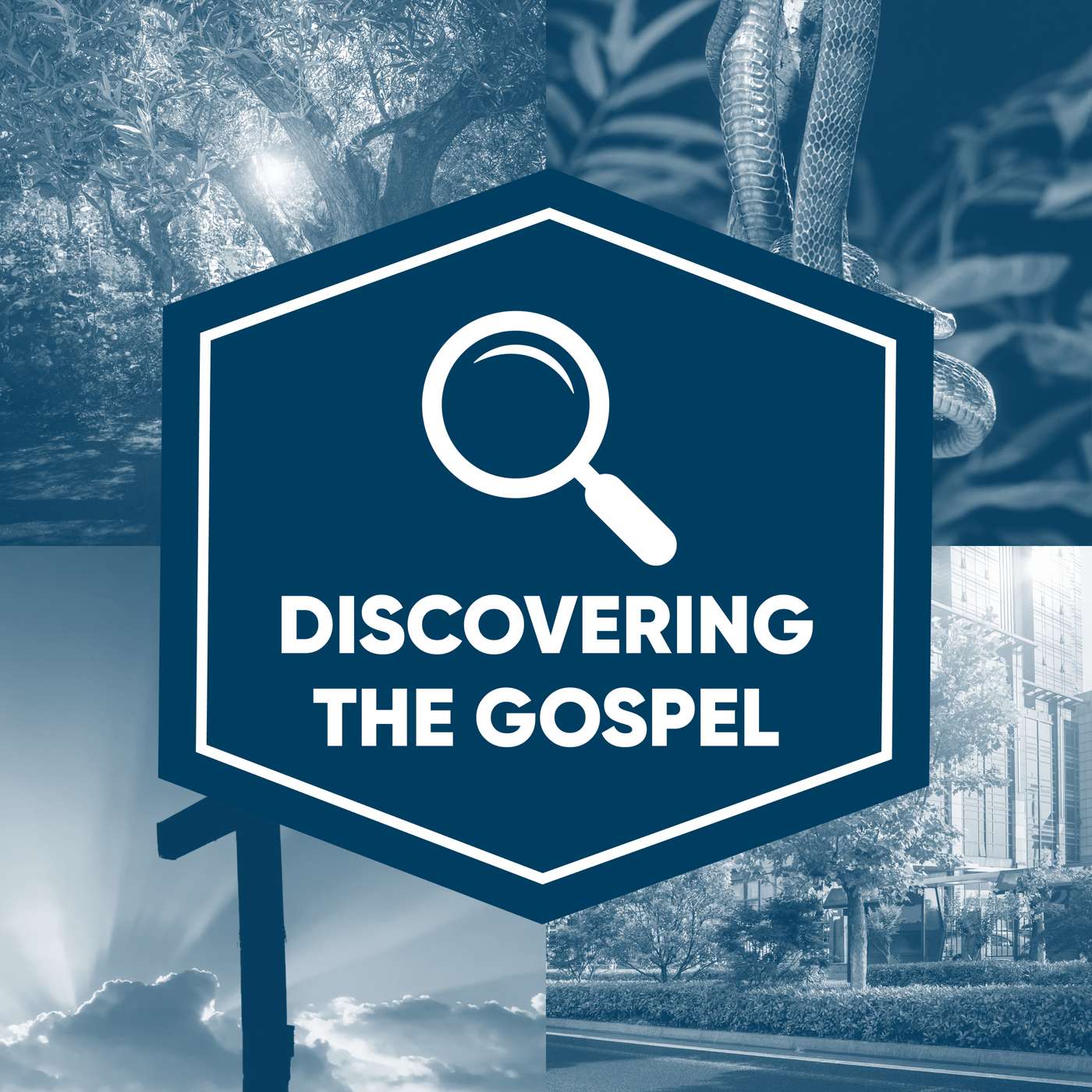 Discovering the Gospel Winter 2025