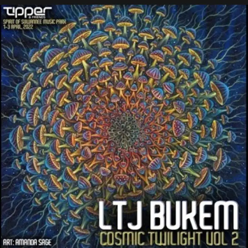 LTJ Bukem - Cosmic Twilight Vol 2 @ Tipper & Friends