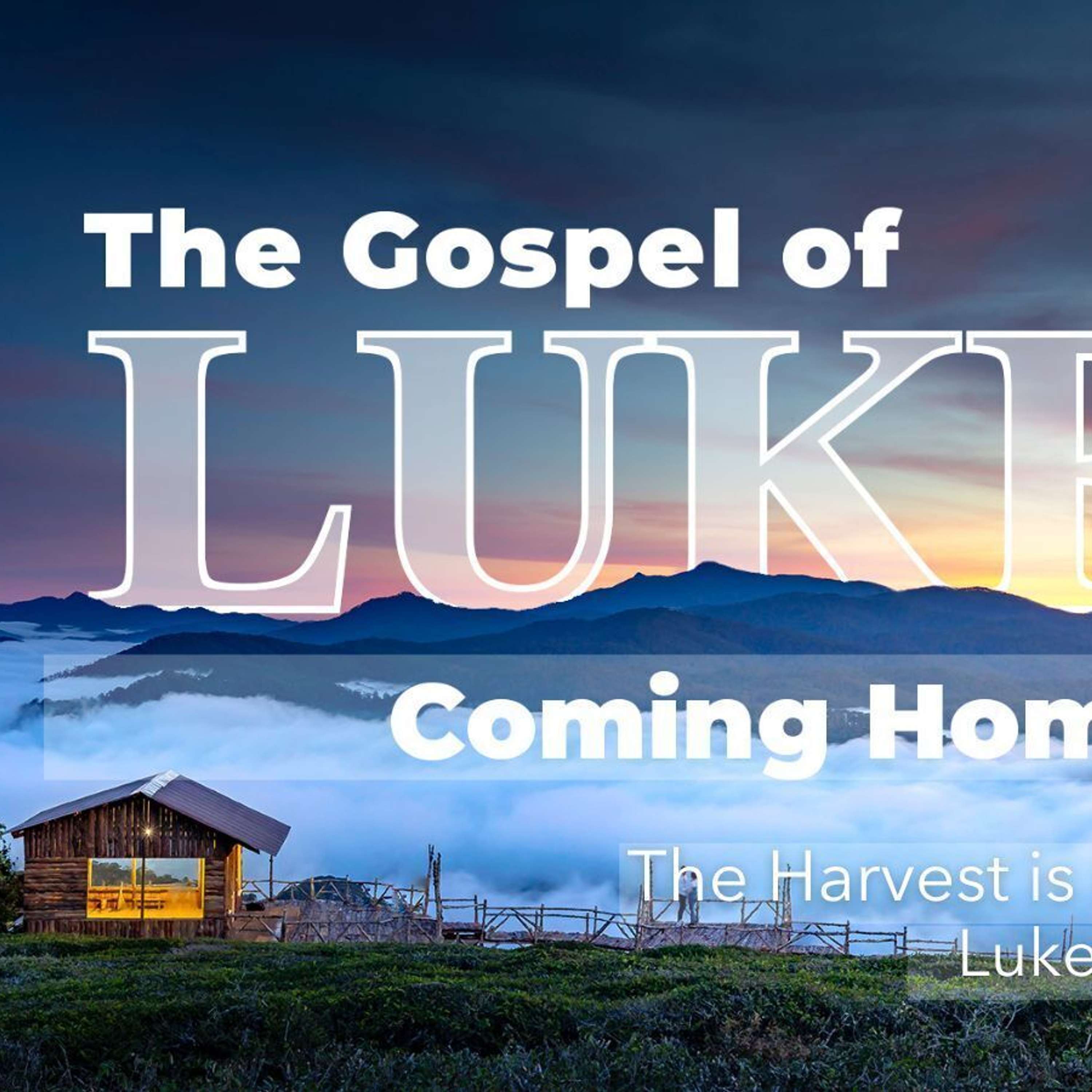 The Harvest is Plentiful