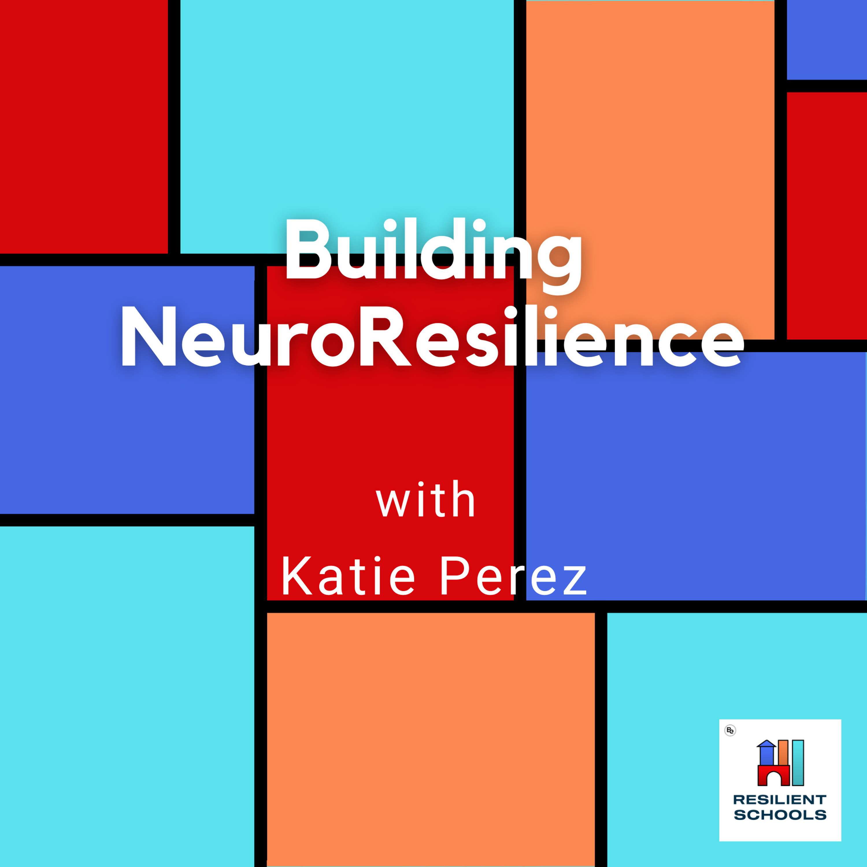 Resilient Schools