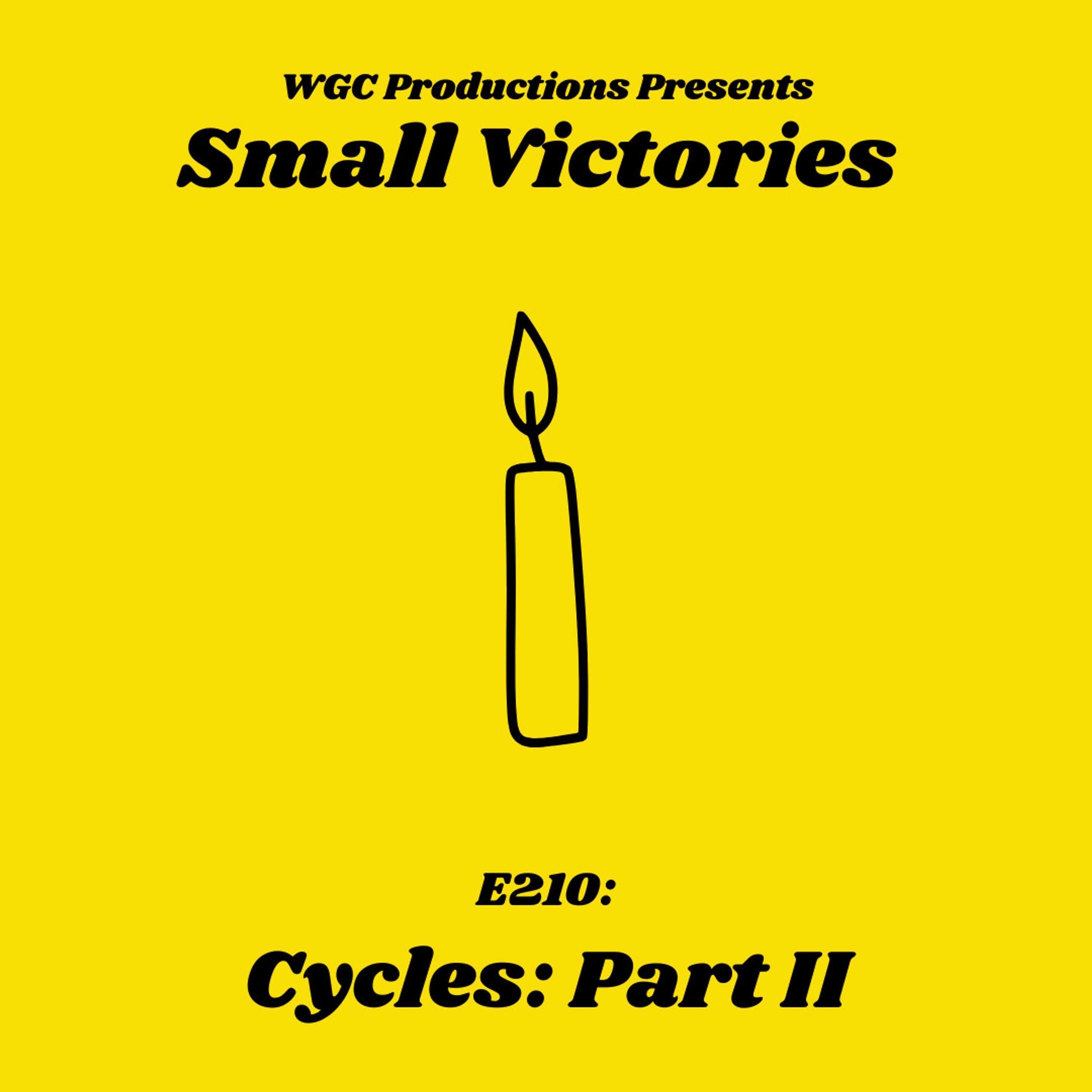 210: Cycles Part II