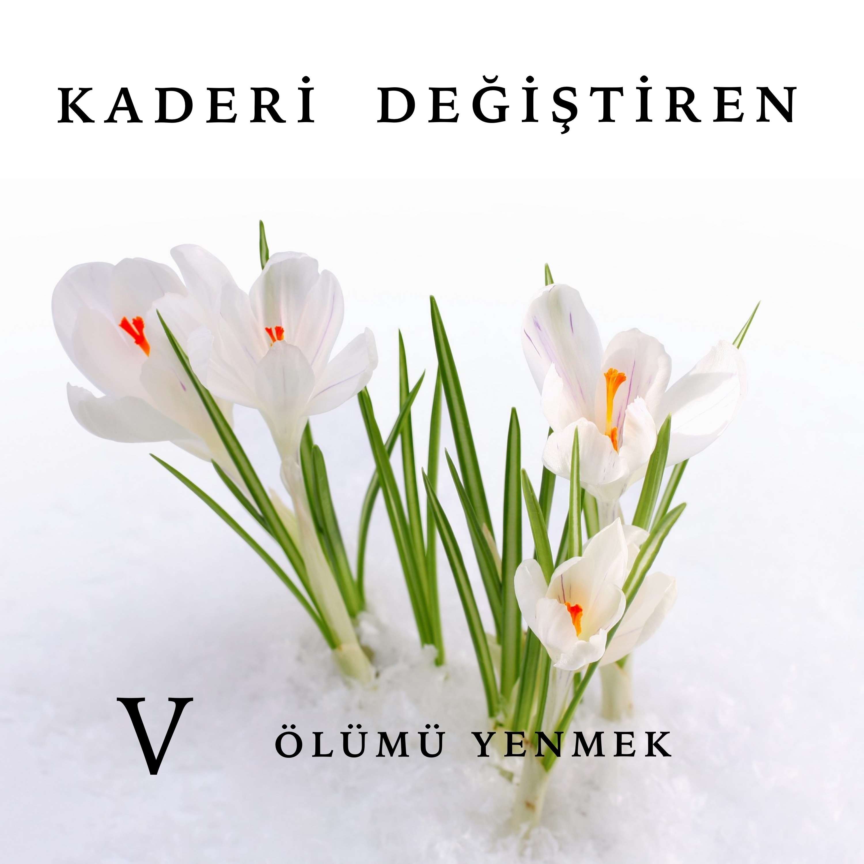 82. Baba'yla Barışmak