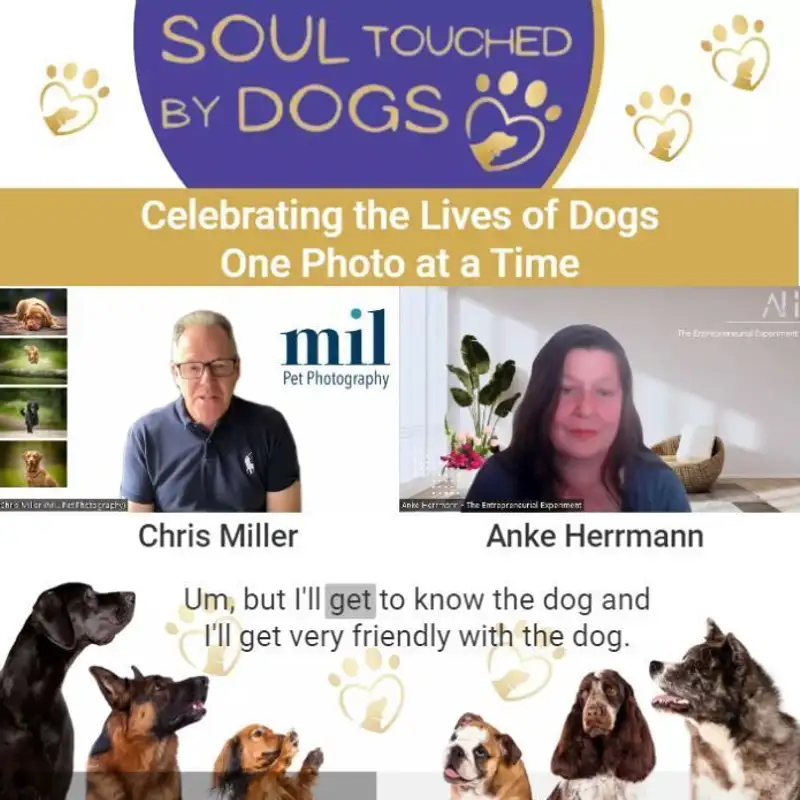 Chris Miller - From Tech to Dog Photography