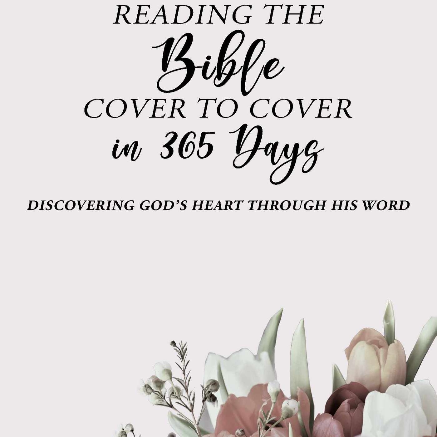 Reading the Bible Cover to Cover in 365 Days